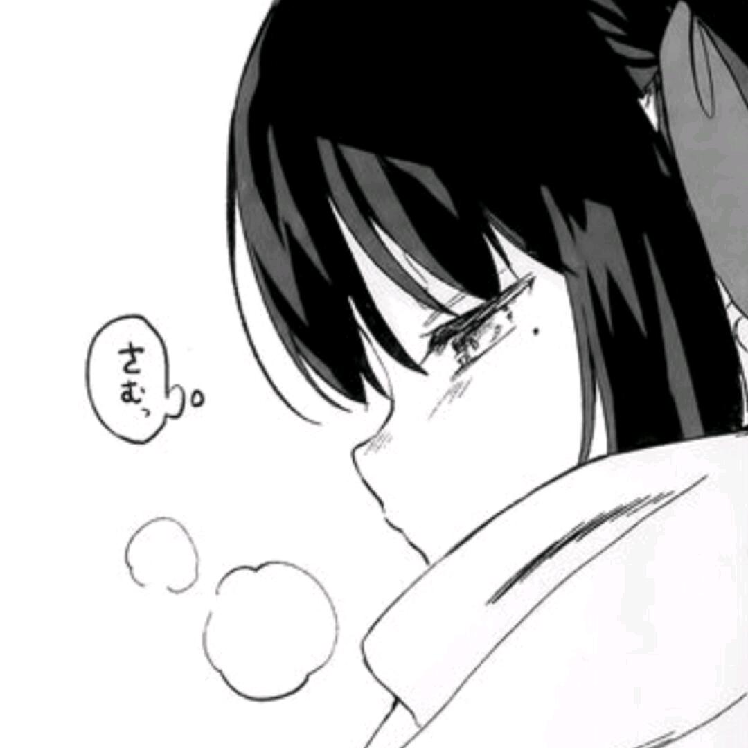 夏倦.头像