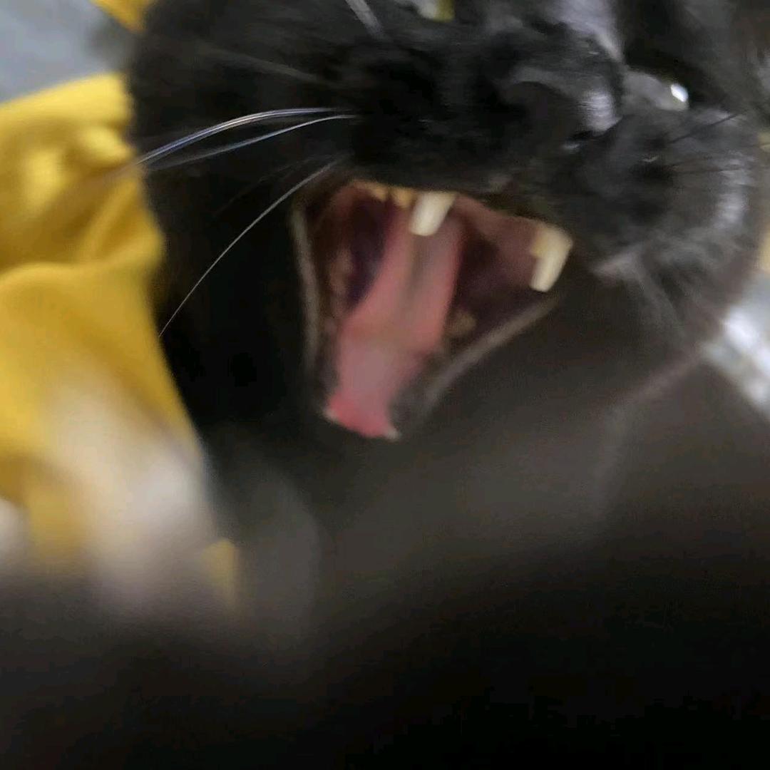 他说