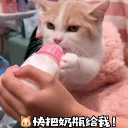 -小F🍼