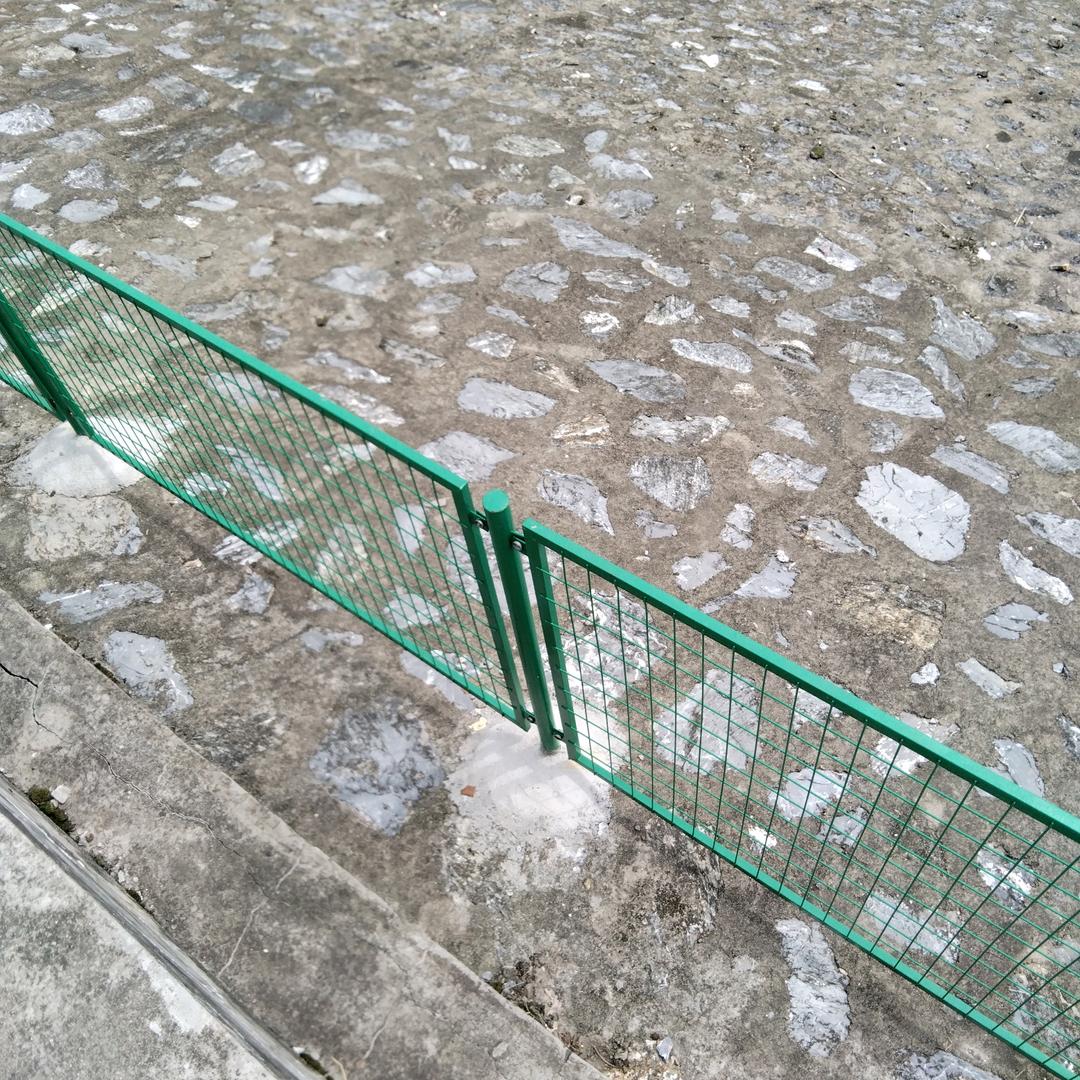 金色阳光