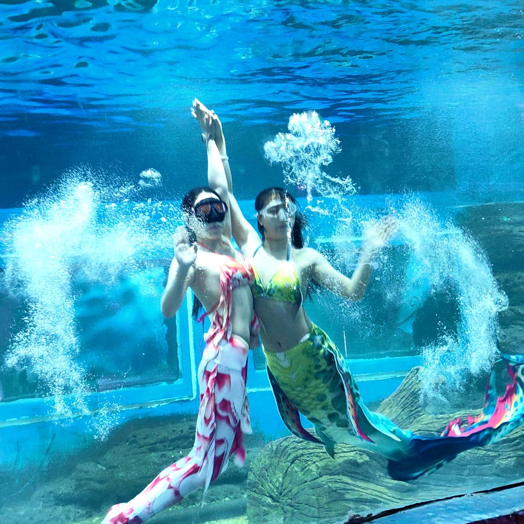 呼和浩特金川海洋馆