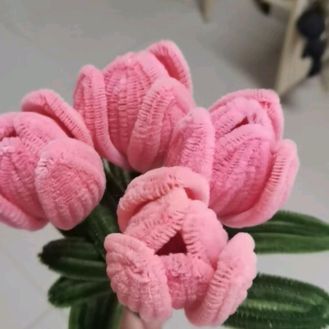 珍不撮（学舞版🤫）