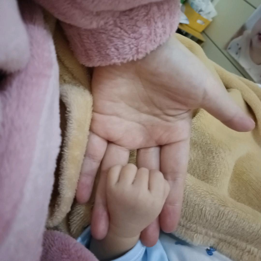 贝贝来袭