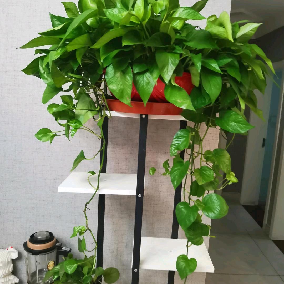 孩子的爸