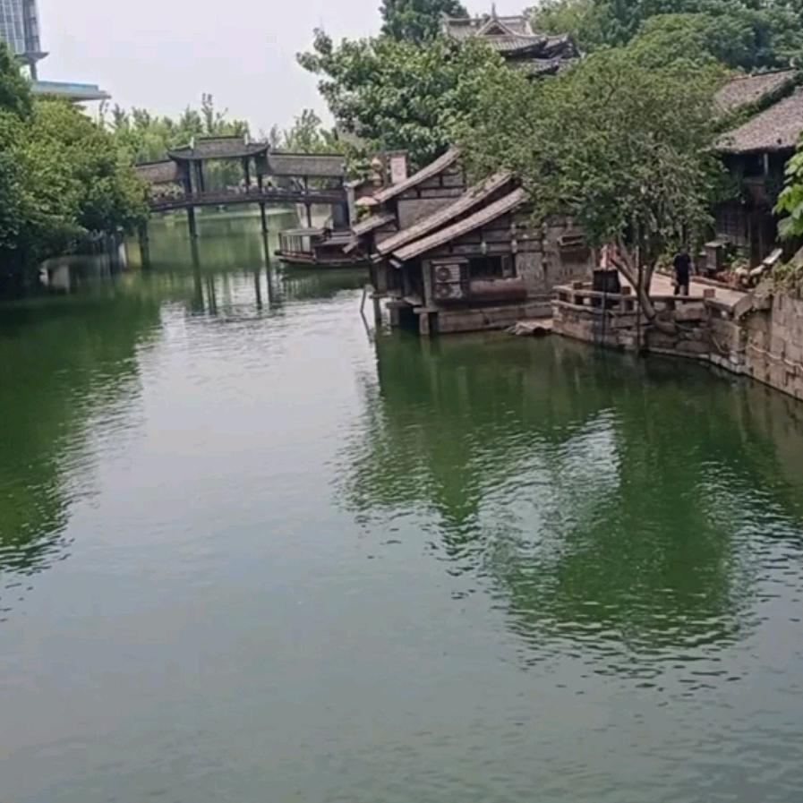 鱼🐟儿