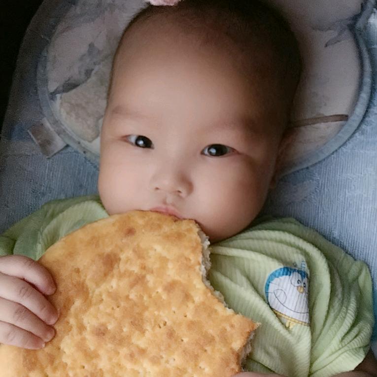 栋栋小baby