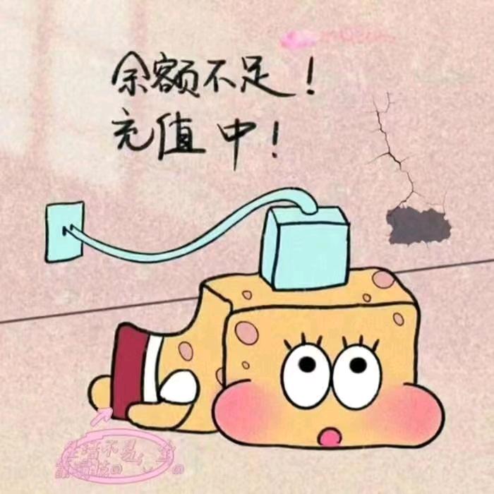 桑稚