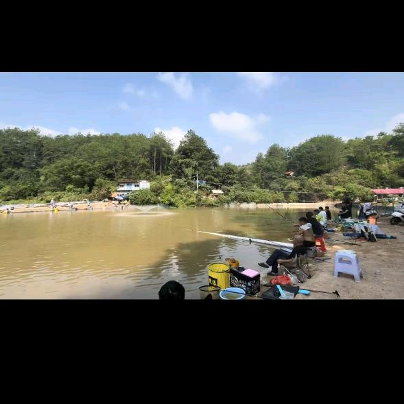 金鱼塘垂钓园