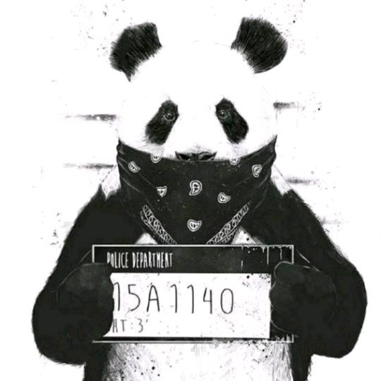 太从心