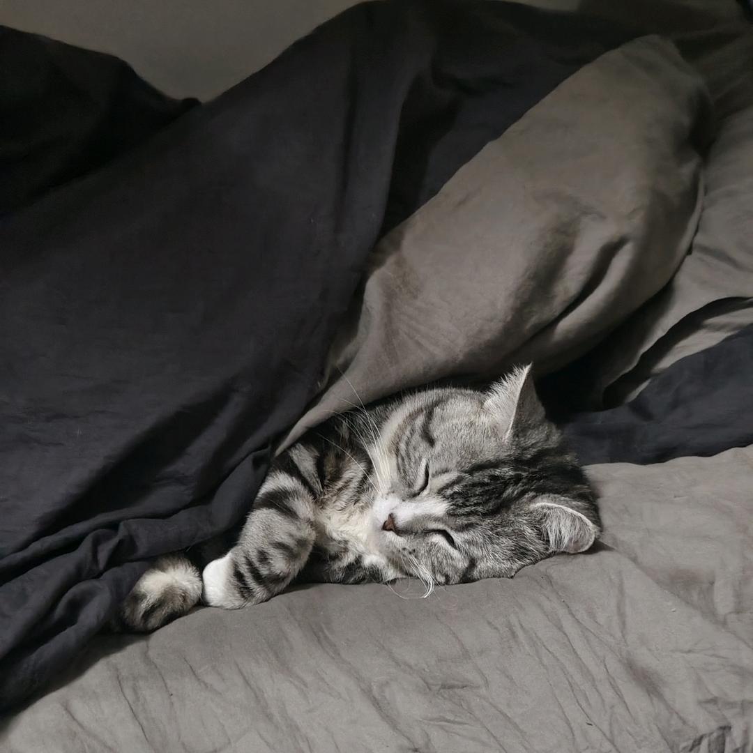 携宠旅游 端午优选