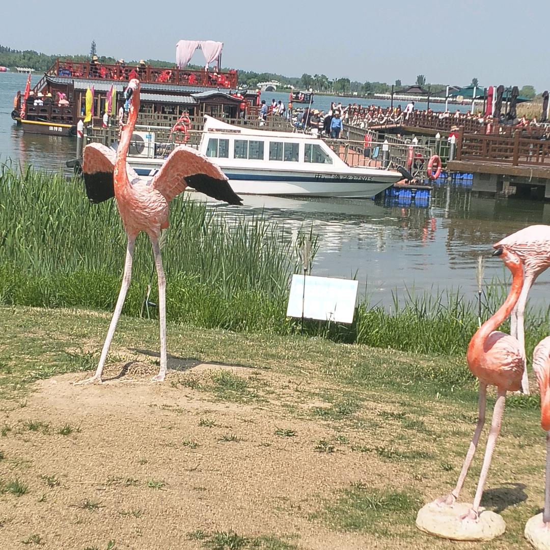 原头厂家各种机械设备