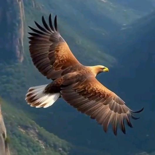 开心快乐每一天