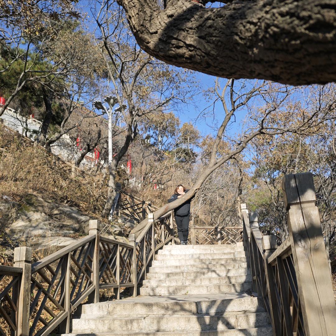 沈阳薇你挑好房