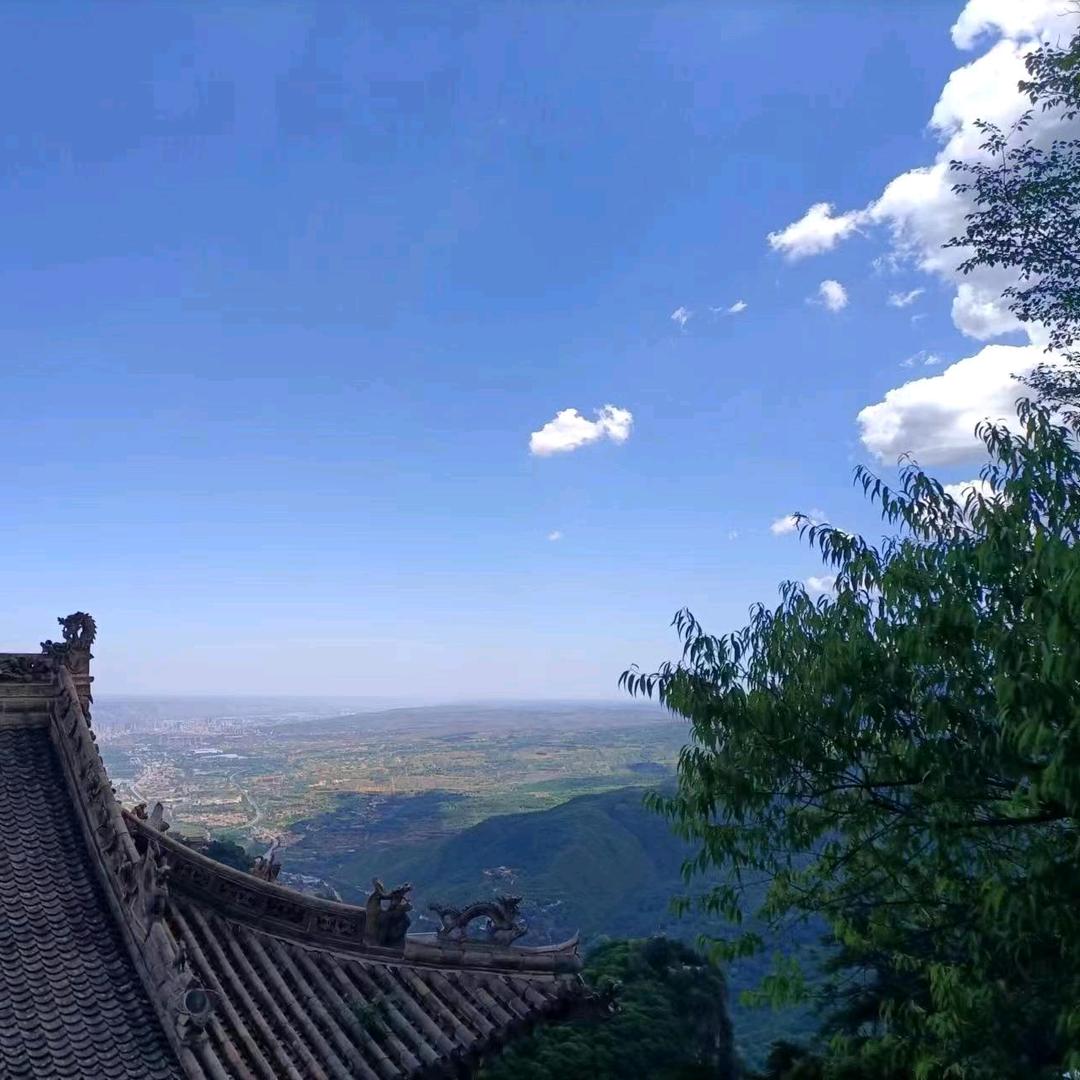 孤峰无伴♥️