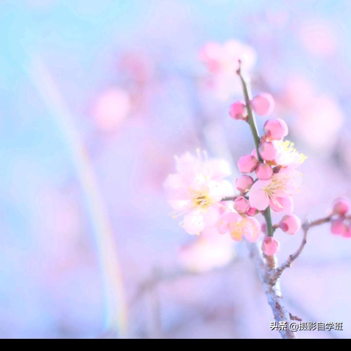 加油站nide