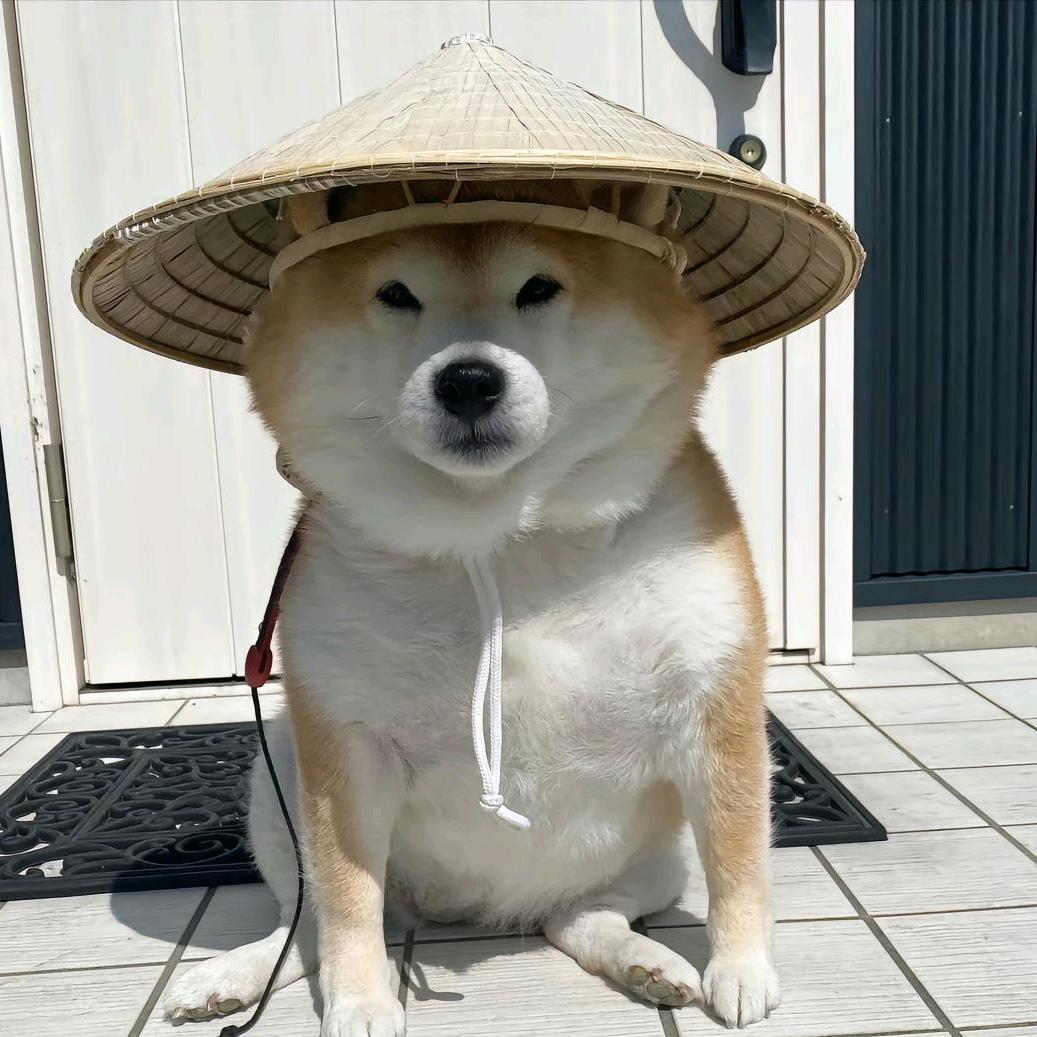 搬砖的刘二狗