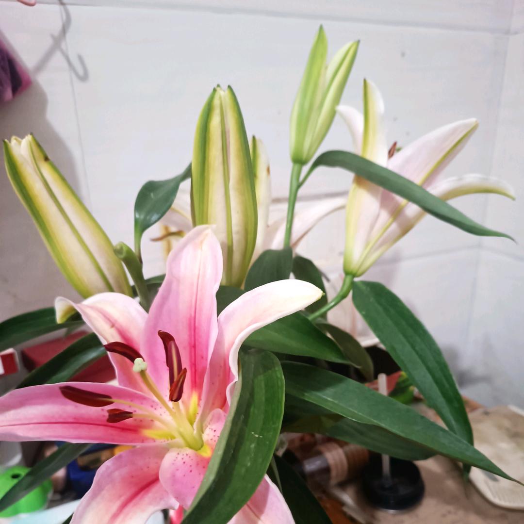 新的生活开始