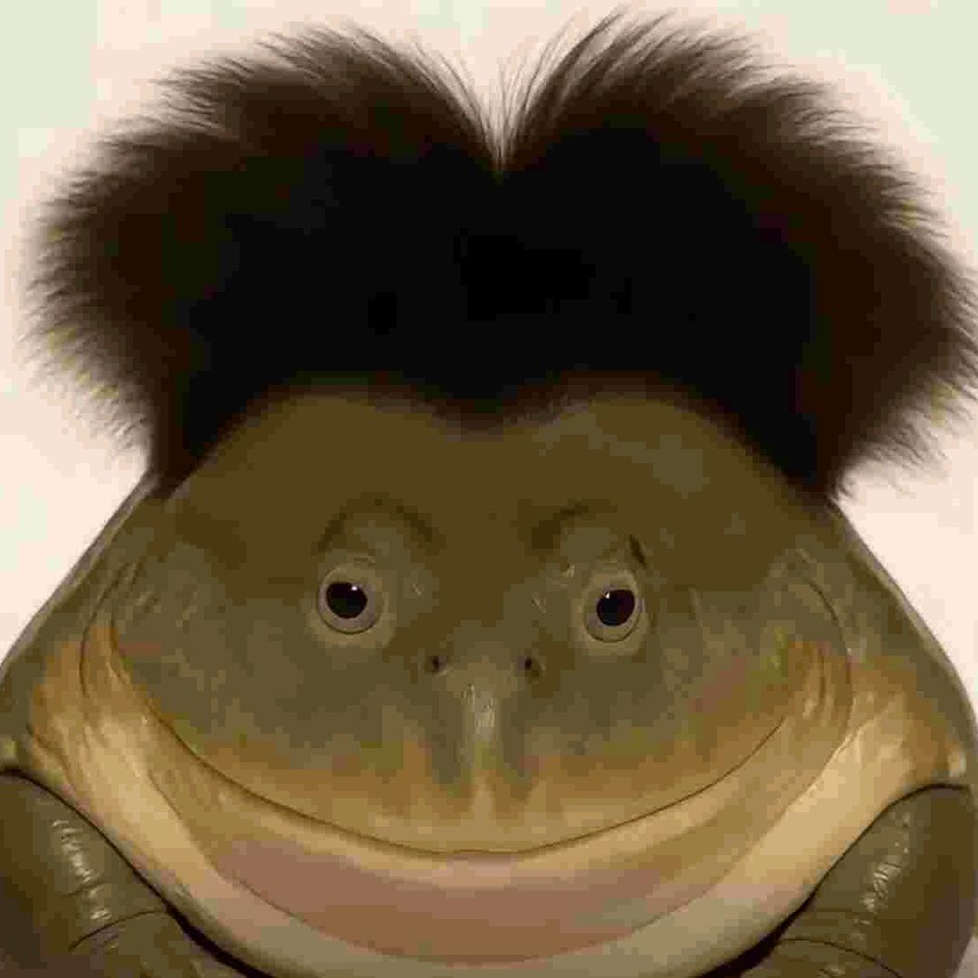 吗喽的命也是命