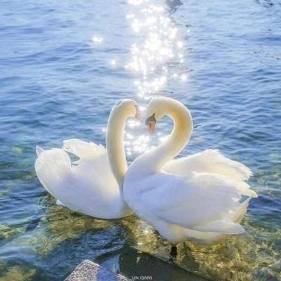 执手浪天涯