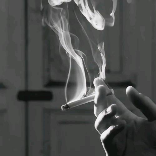晴天。