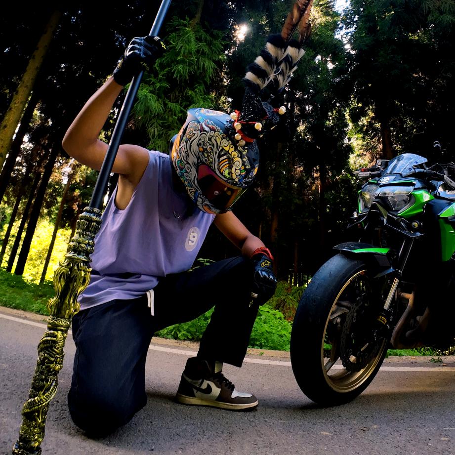 洋仔骑 Kawasaki