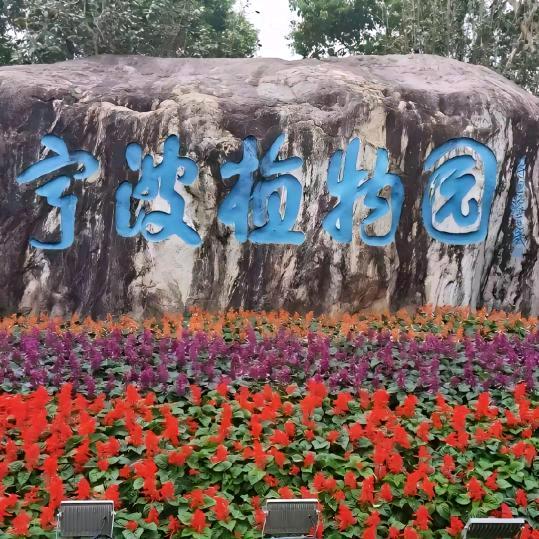 放下指念