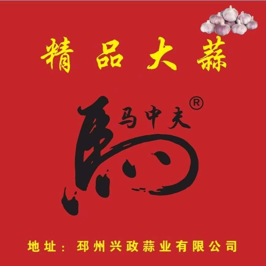 邳州（马牌）兴政蒜业陈旭东