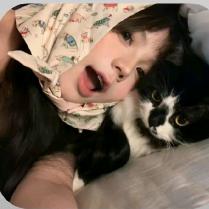 咕噜猫