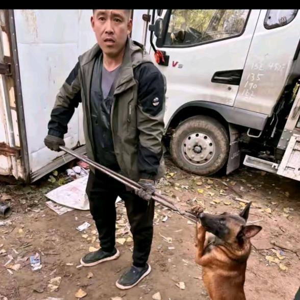 AAA铁岭专业套狗（全国免费套狗）