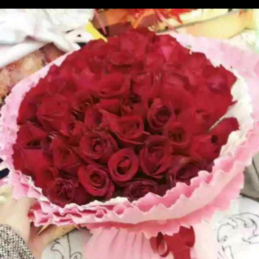 🐲️人生自渡🐇️