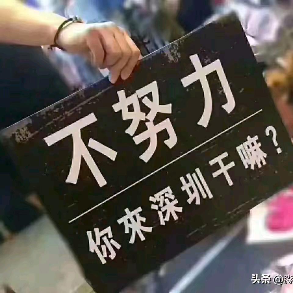 一切向前冲