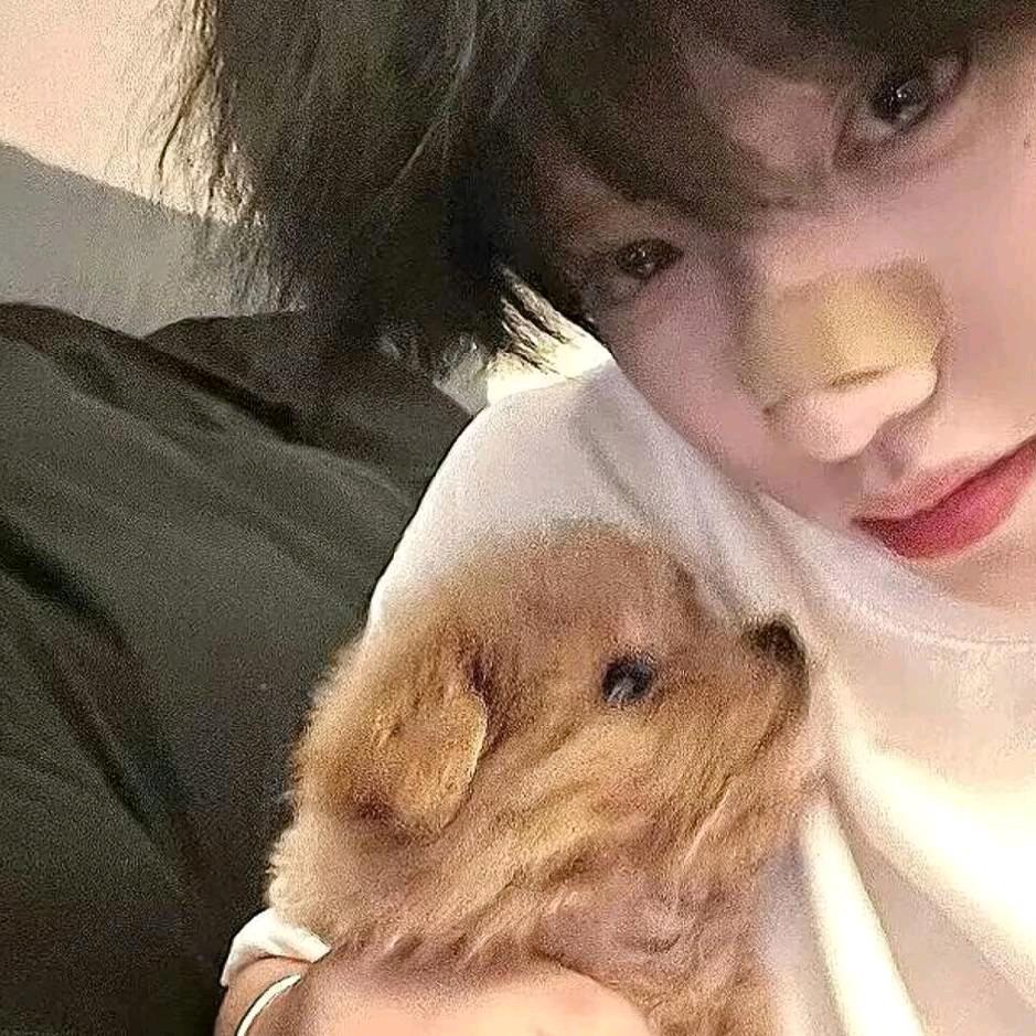 晚风.