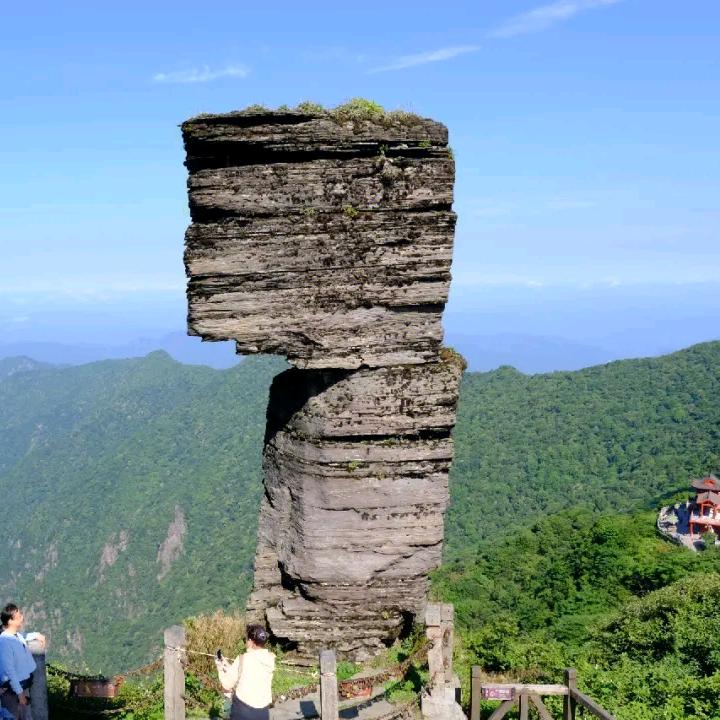 长期收肥牛，架子牛！