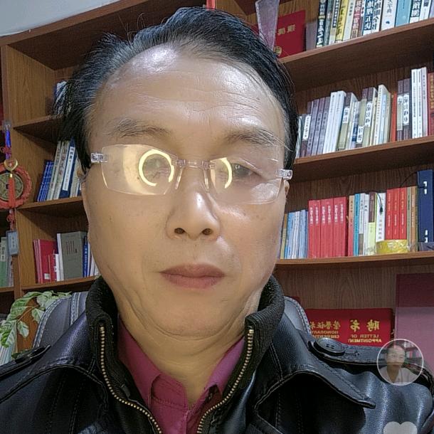 （老郑早3：18）铁甲山苗木