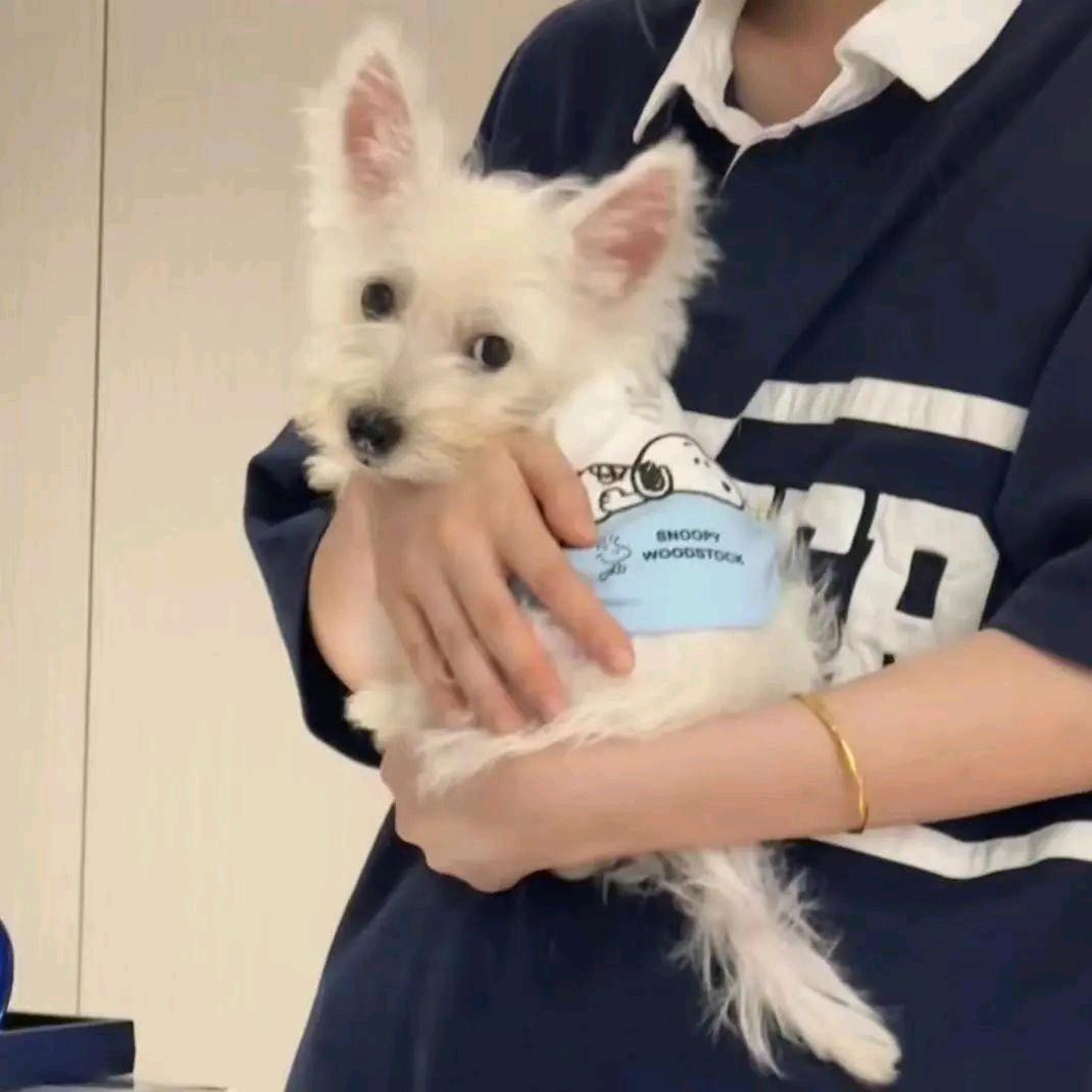 下奕整天雨ᵏᵘⁿ
