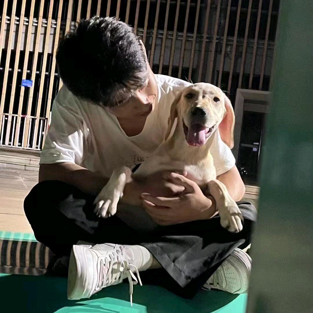 懿感鋒