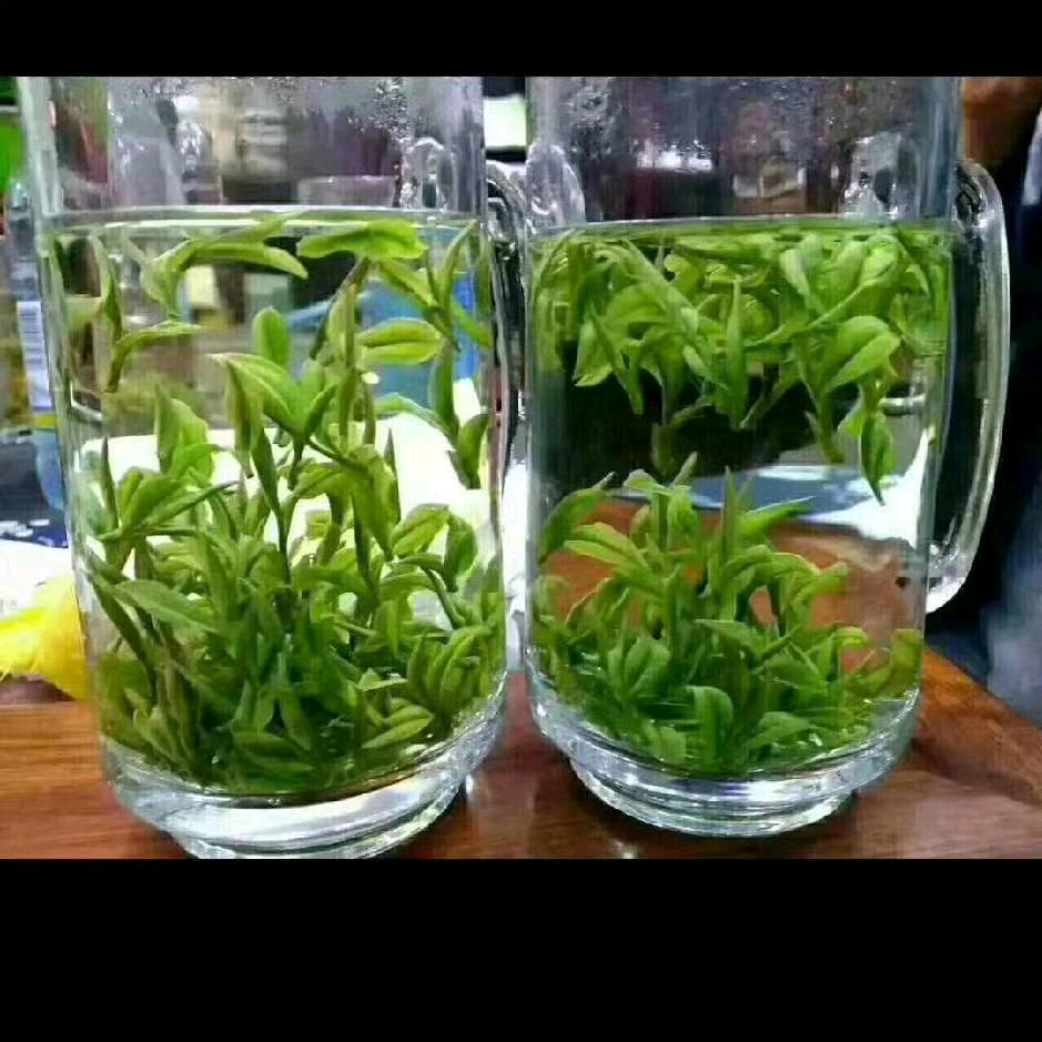 爱茶人