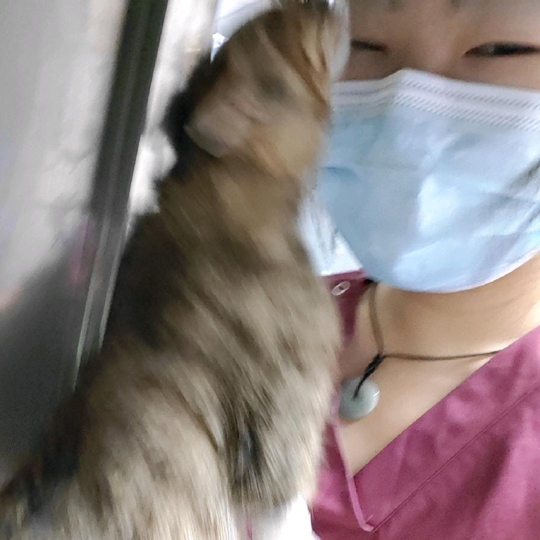 学兽医的二狗