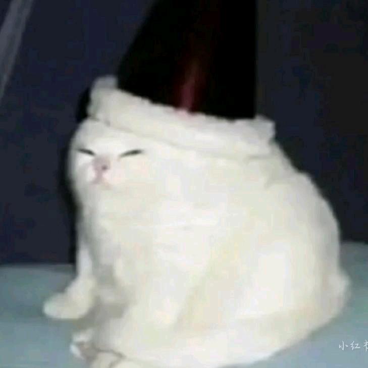 祈安_Aika
