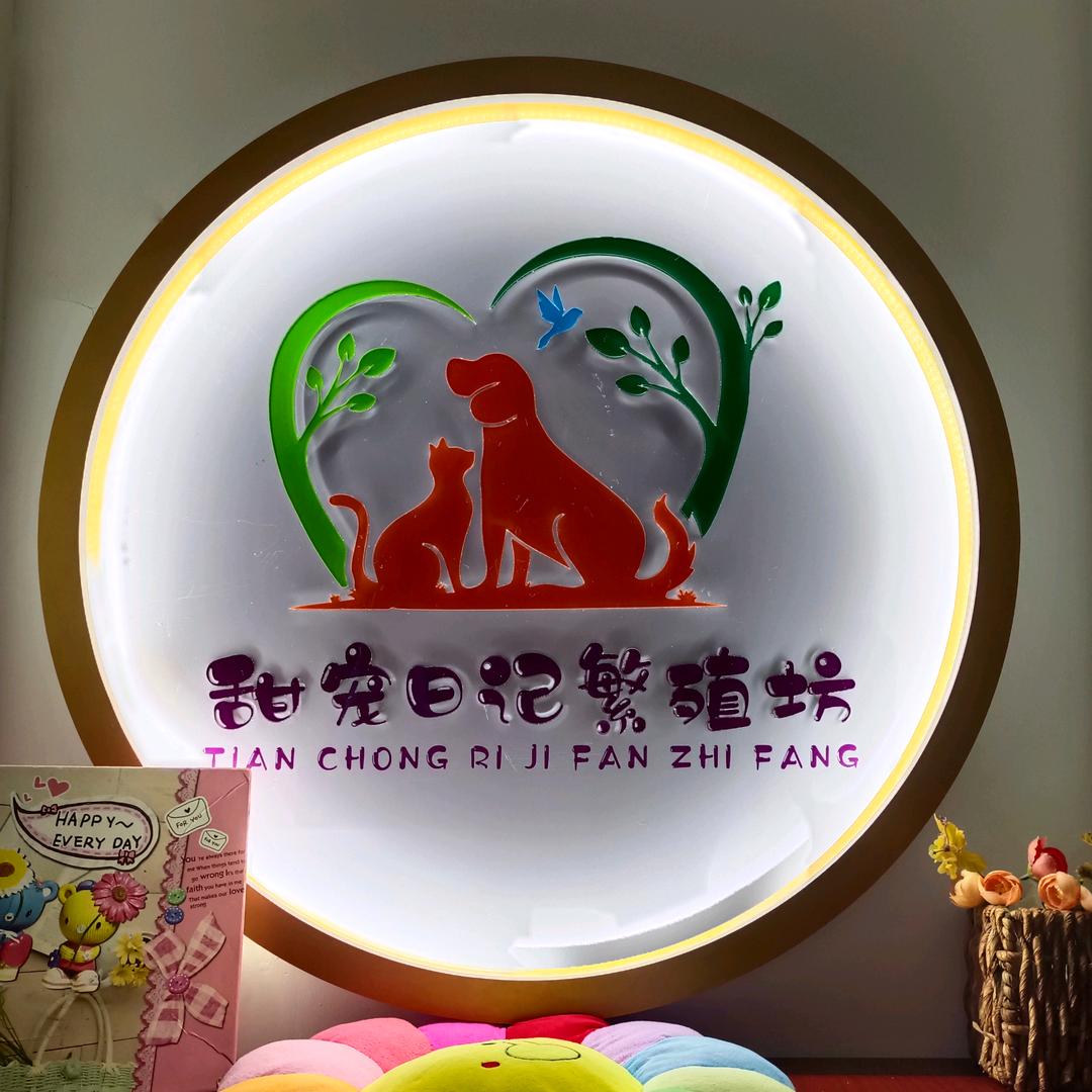 贵阳甜宠日记
