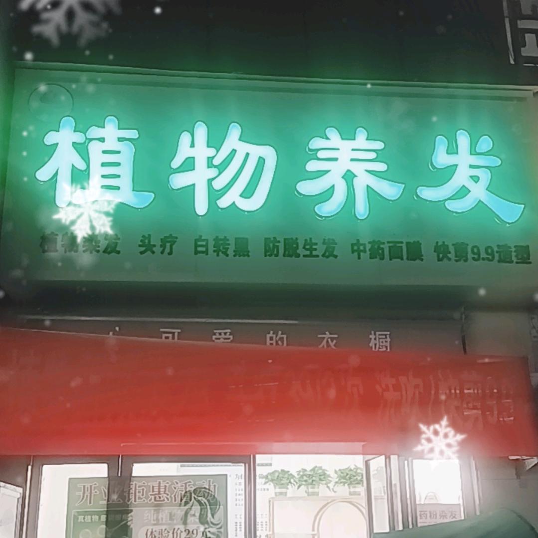 不夜城植物养发