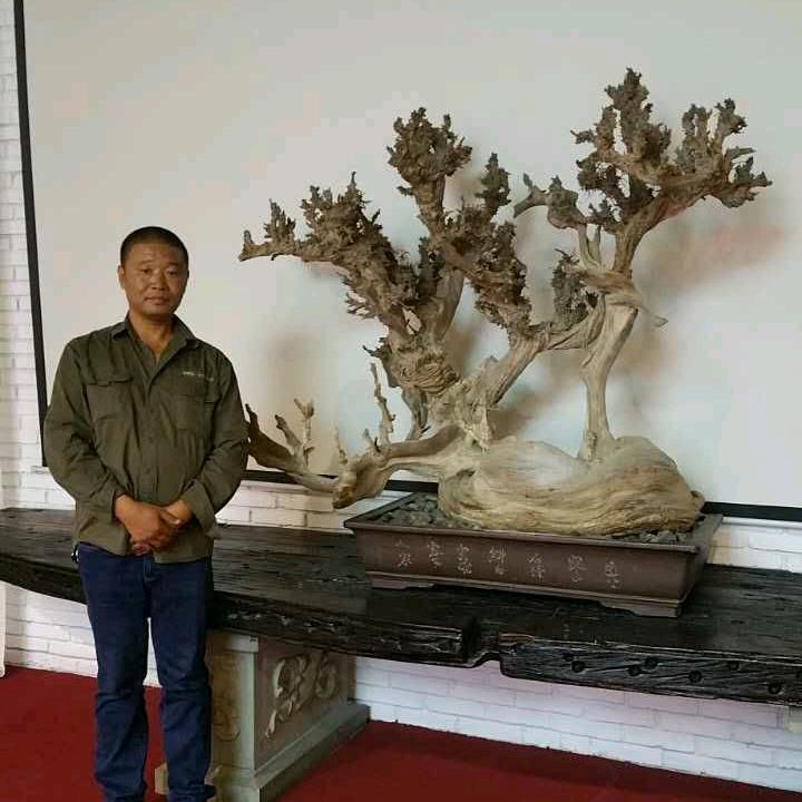 风柏居w