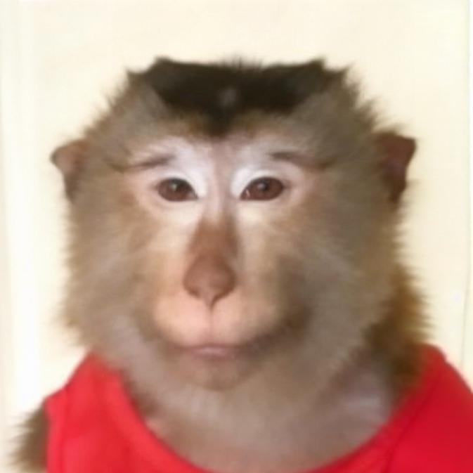 e只马喽jason🐵