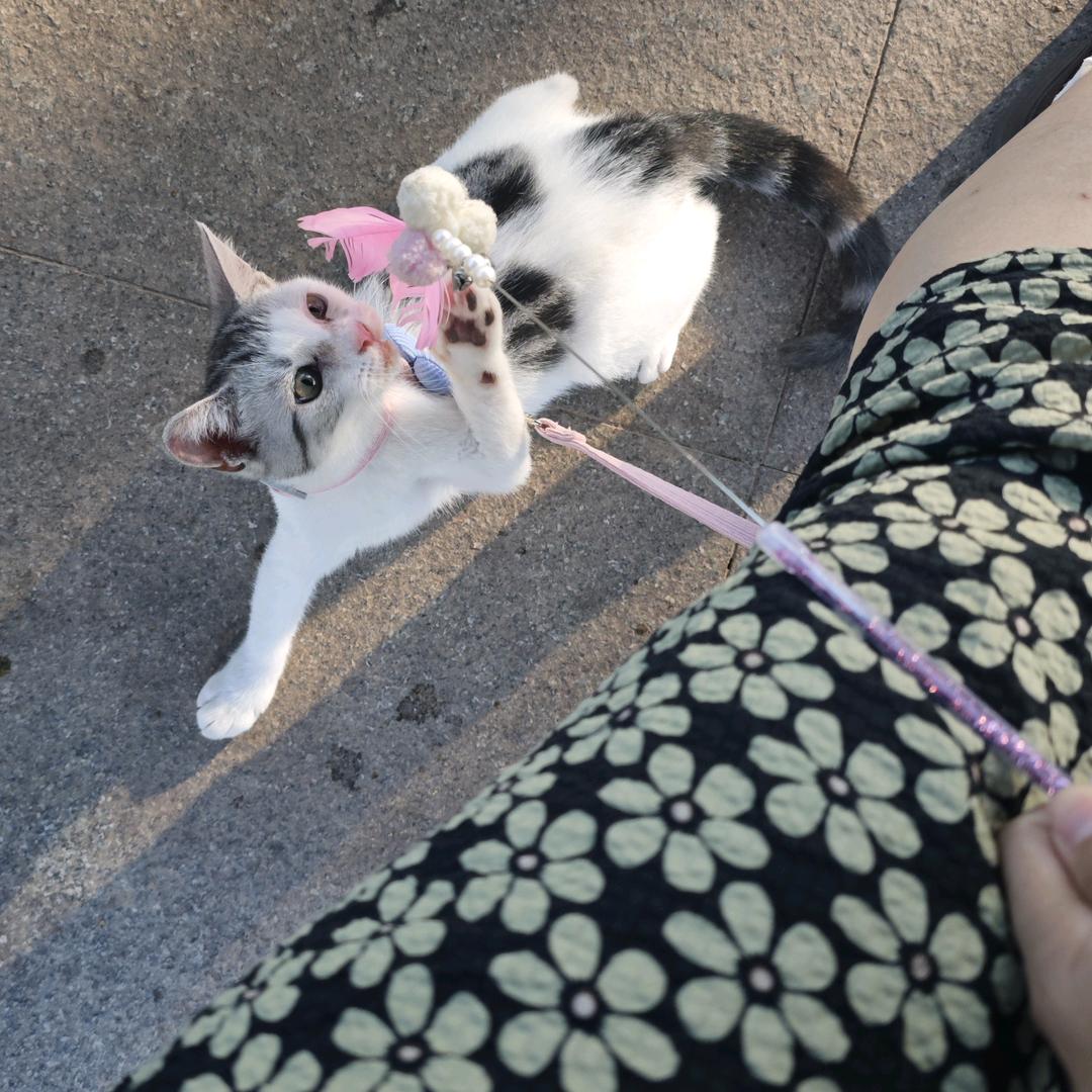 王小露家的“王福贵”🌿🍀