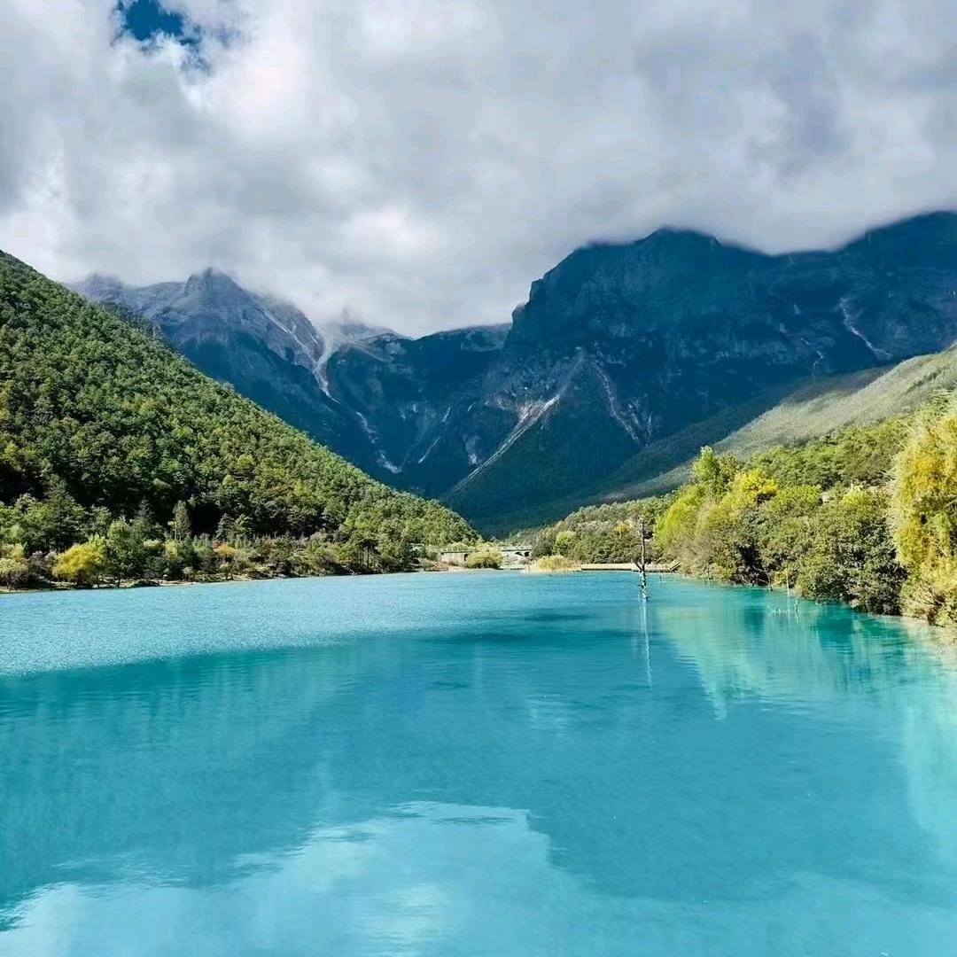 🌺春桃🌺开在5月李🌺