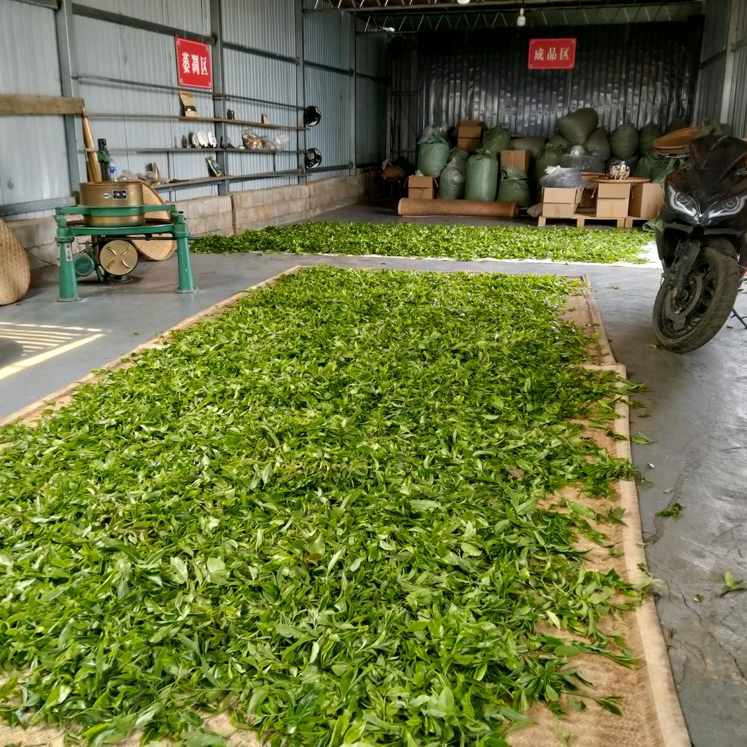 三迈，石头寨，师大，