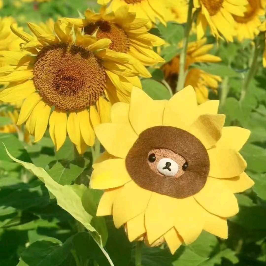 做一个快乐的人💃💄💋