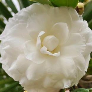 你是我一路的风景