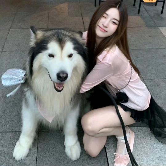 补药秃秃哇