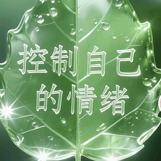 爱拼才会赢（拒绝私聊）